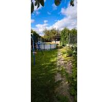 Garten in der Südstadt abzugeben - Anklam