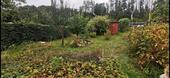 Foto - 300qm Garten abzugeben. - 50,00&nbsp;EUR Kaltmiete, ca.&nbsp; 0,00&nbsp;m&sup2;