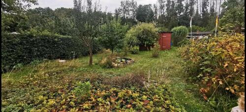 Foto - 300qm Garten abzugeben. - 50,00&nbsp;EUR Kaltmiete, ca.&nbsp; 0,00&nbsp;m&sup2;