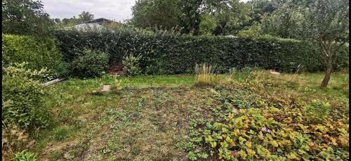 Foto - Grundst&uuml;ck zur Miete in Mittweida