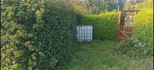 Foto - Grundst&uuml;ck in Mittweida zur Miete