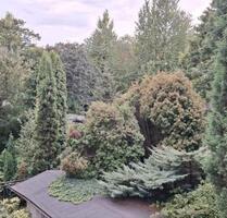 ** Tolle Altbauwohnung 4,5 Zimmer in Altenessen-Süd Balkon **