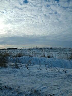 Foto - andere zur Miete in Esens
