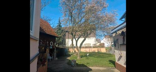 Foto - Einfamilienhaus in Bad Schönborn zum Kaufen