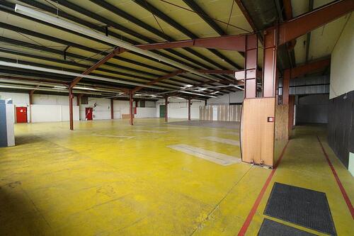 Foto - andere in Westoverledingen