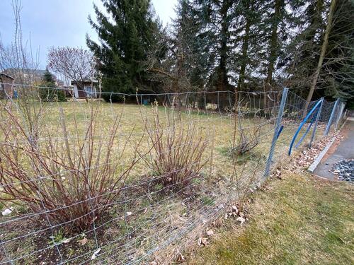 Foto - Verpachte Garten-Grundstück von Privat