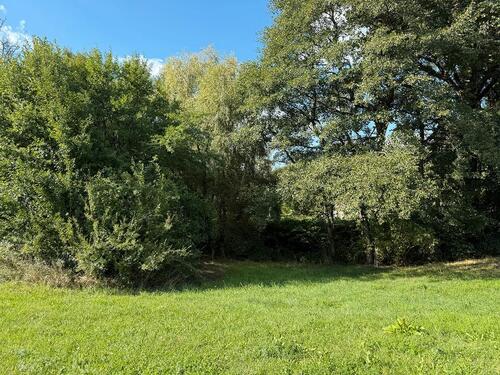 Foto - Grundstück in Bischofswerda zum Kaufen