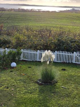 Foto - andere zur Miete in Sassnitz