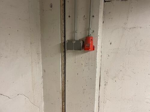 Foto - andere in Korb