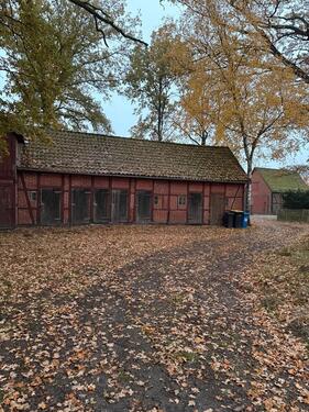 Foto - Einfamilienhaus zur Miete in Dannenberg (Elbe)