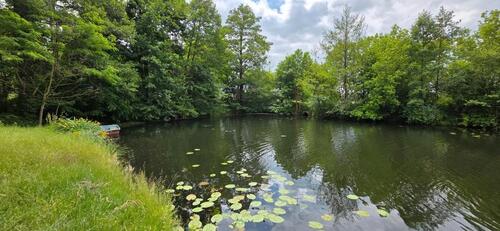 Foto - 