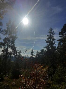 Foto - Haus zur Miete - 900,00&nbsp;EUR Kaltmiete, ca.&nbsp; 130,00&nbsp;m&sup2;