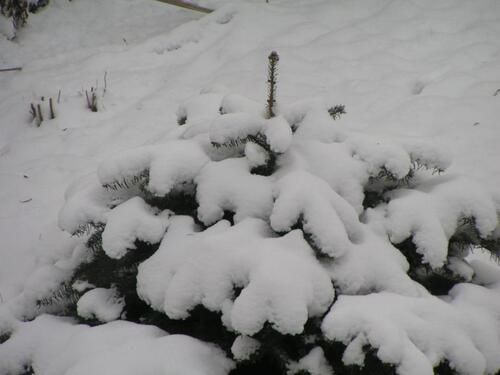 Foto - 3-Zi.-Wohnung Gerwisch (Dbl. 45) in Kürze bezugsfrei