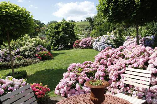Foto - 6 Zimmer Einfamilienhaus in Ilbesheim bei Landau in der Pfalz