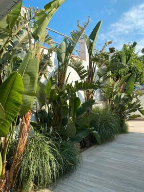 Foto - andere zur Miete in Essen