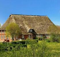 2-Zimmerwohnung im Reetdachhaus in Thandorf - Rehna