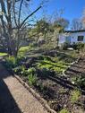 Foto - Schöner Kleingarten Schrebergarten abzugeben