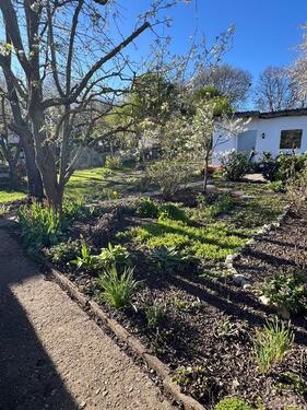 Foto - Schöner Kleingarten Schrebergarten abzugeben