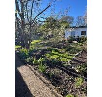 Schöner Kleingarten Schrebergarten abzugeben - Mönchengladbach Nord
