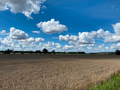 Foto - Einfamilienhaus in Malchin zum Kaufen