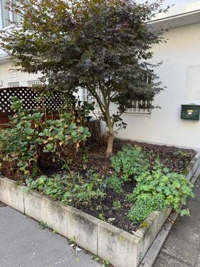 Foto - andere in Frankfurt am Main