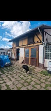 Foto - Einfamilienhaus in Breitenworbis zum Kaufen