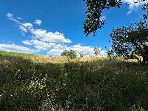 Foto - Grundst&uuml;ck in Brensbach zur Miete