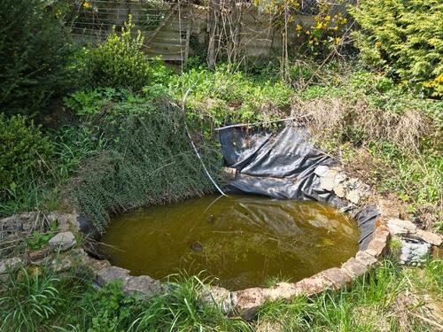 Foto - Reihenhaus in Sonnenstein zum Kaufen