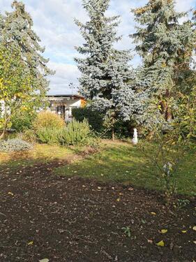 Foto - Grundstück zur Miete in Staßfurt