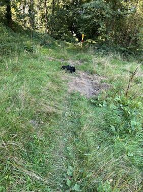 Foto - Grundst&uuml;ck in Dortmund