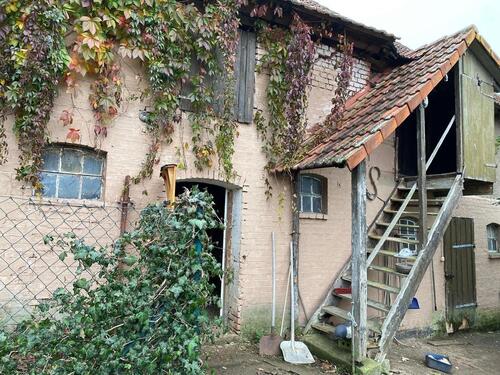 Foto - Einfamilienhaus mit Nebengelass in Salomonsborn