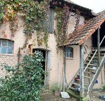 Einfamilienhaus mit Nebengelass in Salomonsborn - Dachwig