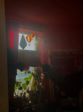 Foto - Etagenwohnung in Molfsee zur Miete