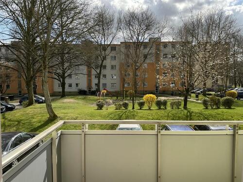 Foto - 2 Zimmer Erdgeschoßwohnung zur Miete in Essen