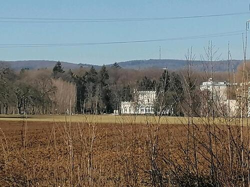 Foto - Streuobstwiese im Naherholungsgebiet