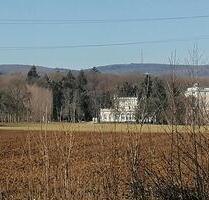 Streuobstwiese im Naherholungsgebiet - Oberursel (Taunus)