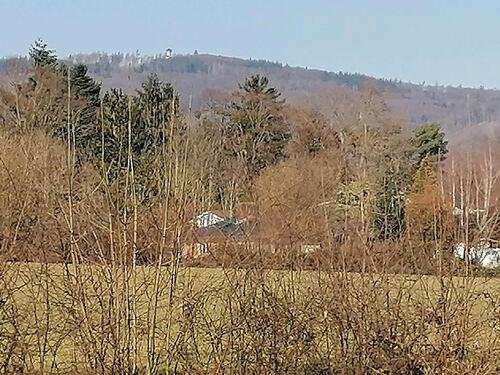 Foto - Grundst&uuml;ck zur Miete in Oberursel (Taunus)