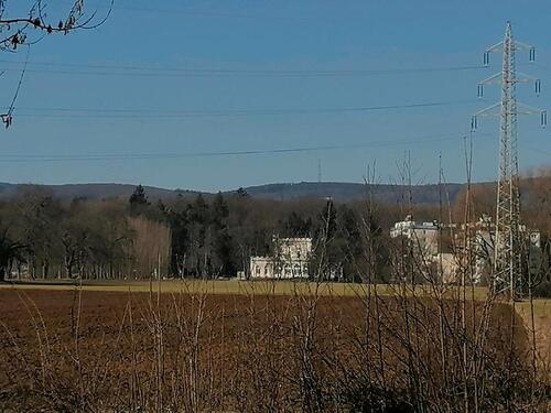 Foto - Grundst&uuml;ck in Oberursel (Taunus)