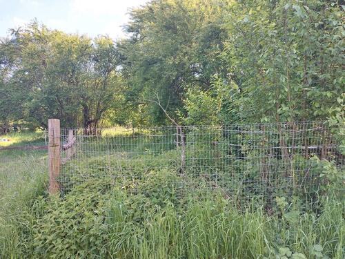 Foto - Grundst&uuml;ck in Oberursel (Taunus) zur Miete