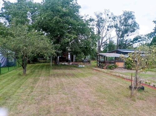 Foto - Grundst&uuml;ck in Wittenberg Lutherstadt