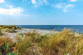 Foto - Fehmarn Ferienwohnung nah am Strand