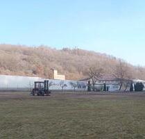 Lagerfläche Freifläche zu vermieten – 3.000–5.000 m² - Stromberg Lagerfläche Freifläche zu vermieten – 3.000–5.000 m² - Stromberg