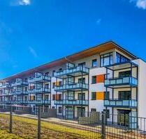 Komplett neu sanierte Wohnung! - 663,00 EUR Kaltmiete, in Zwickau (PLZ: 08062) Neuplanitz
