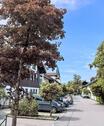 Foto - andere in Taufkirchen