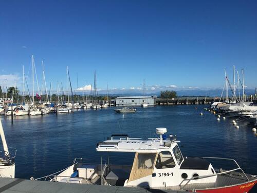 Foto - Schöne, helle 1,5 Zi.-Wohnung zum Wohlfühlen in Mariabrunn