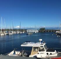 Schöne, helle 1,5 Zi.-Wohnung zum Wohlfühlen in Mariabrunn - Eriskirch