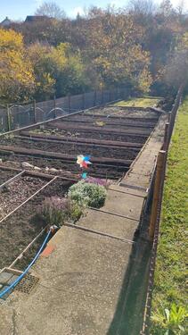 Foto - Grundst&uuml;ck zur Miete in Aschersleben