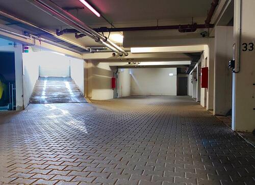 Foto - andere in Dresden