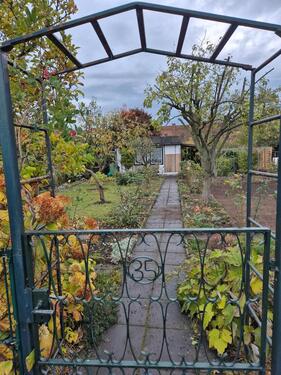 Foto - Grundst&uuml;ck zur Miete in Magdeburg