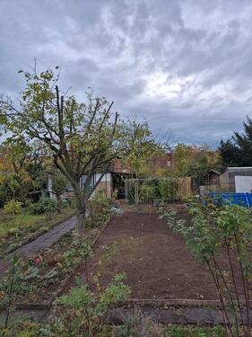 Foto - Grundst&uuml;ck in Magdeburg zur Miete